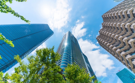 事業領域